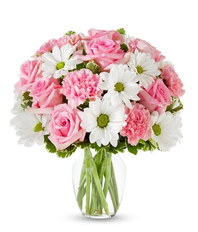 Pastel Rose & Daisy Delight - Same-Day Flower Delivery Jupiter, FL