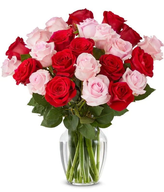 A Dozen Assorted Roses - Same-Day Flower Delivery Wellington, FL