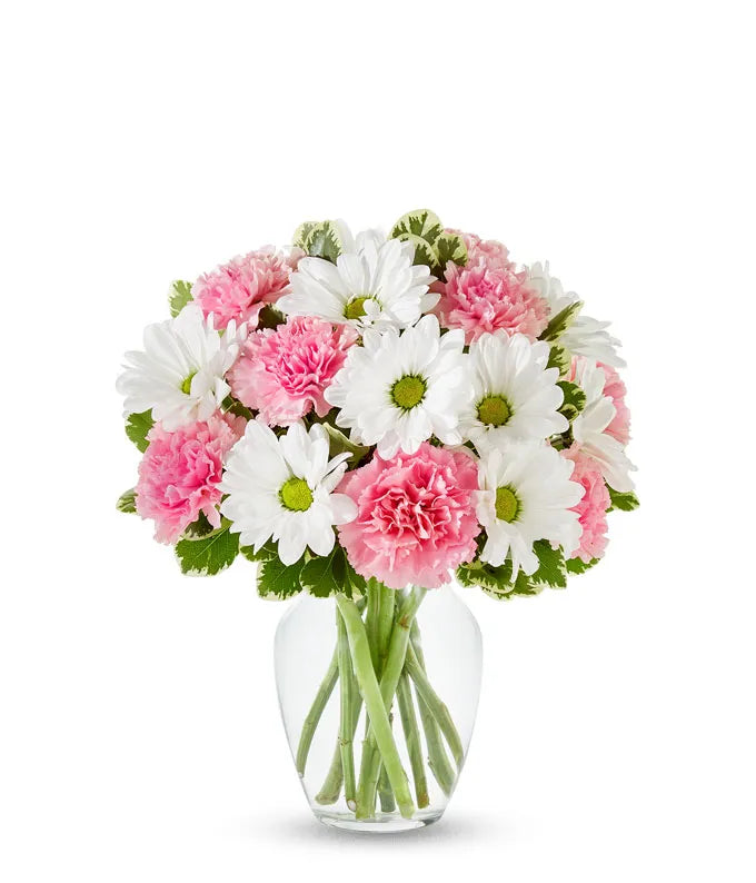 Pastel Rose & Daisy Delight - Same-Day Flower Delivery Jupiter, FL