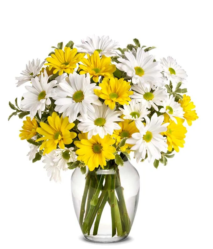 Upsy Daisy Bouquet - Same-Day Flower Delivery Boynton Beach, FL