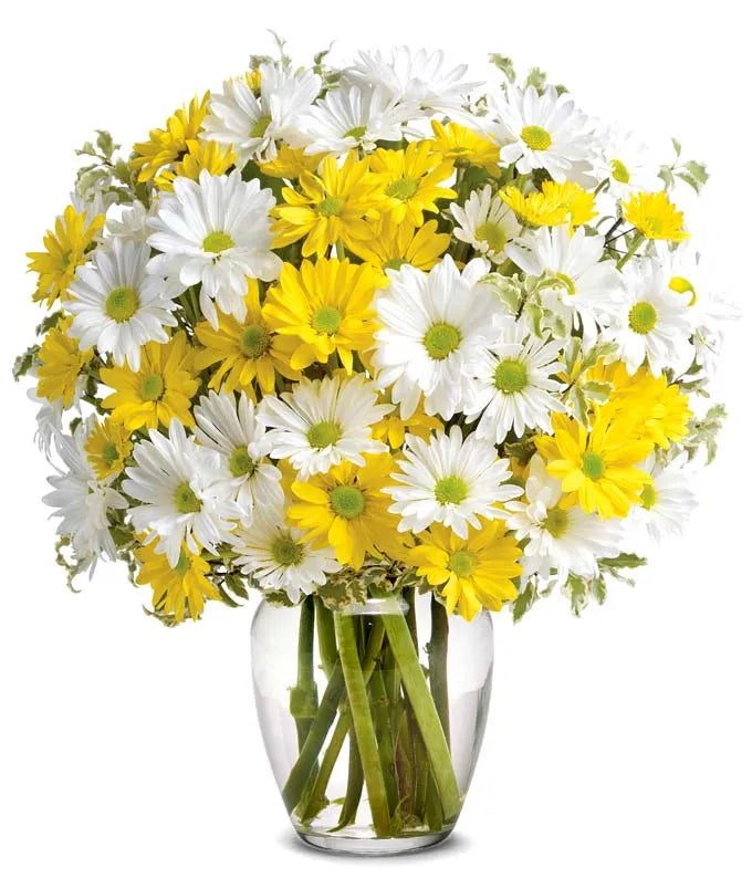 Upsy Daisy Bouquet - Same-Day Flower Delivery Boynton Beach, FL
