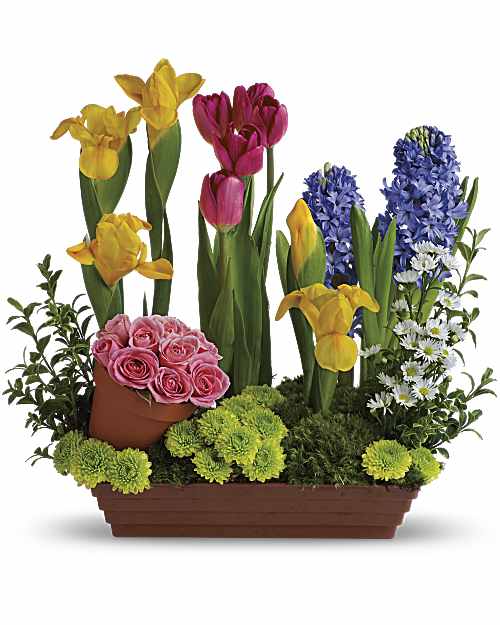Spring is Here!