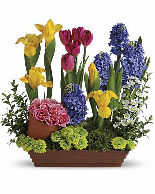 Spring is Here!