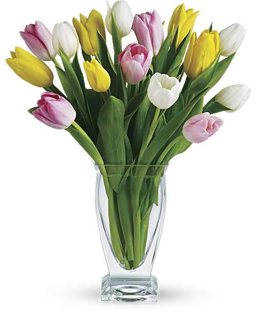 Tulip Treasures