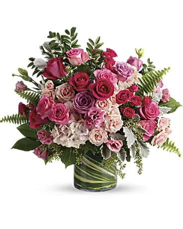 Blushing Romance Rose Collection